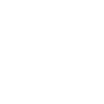 CAR.png